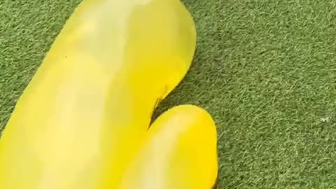 Funniest video random