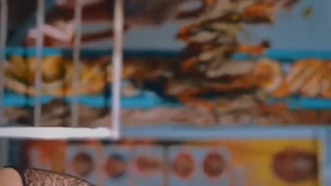 Chinni_gundeku_Telugu folk song