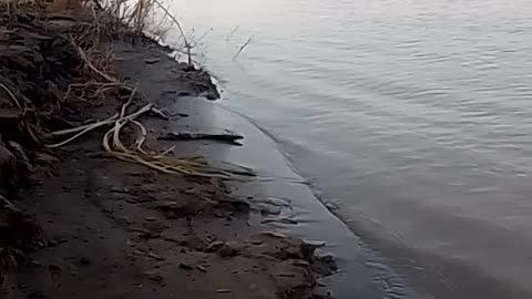 Best fishing spots