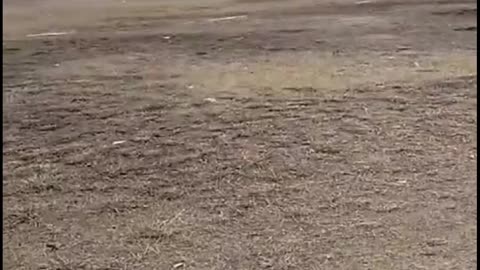 Going For Play a Cricket Match