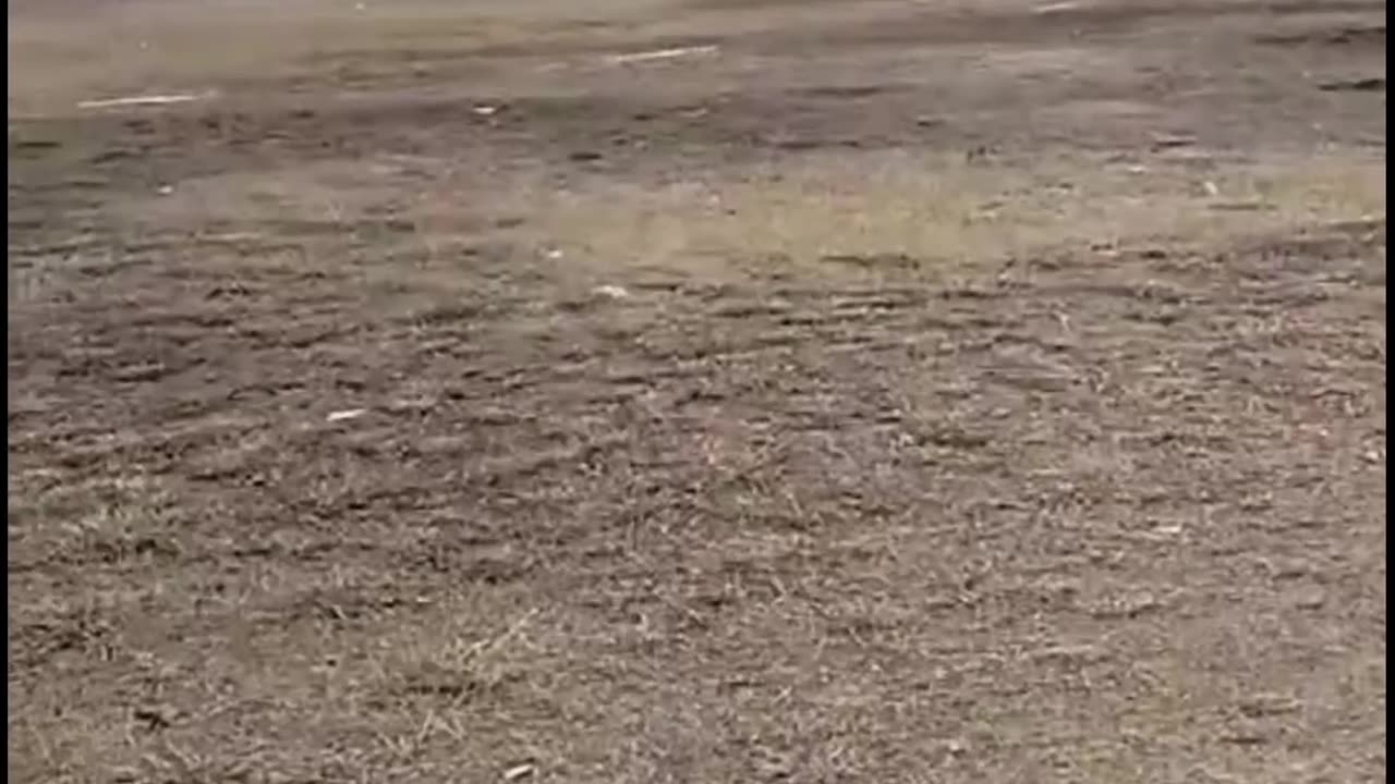 Going For Play a Cricket Match