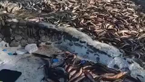 Hidrologic disaster in Dakota