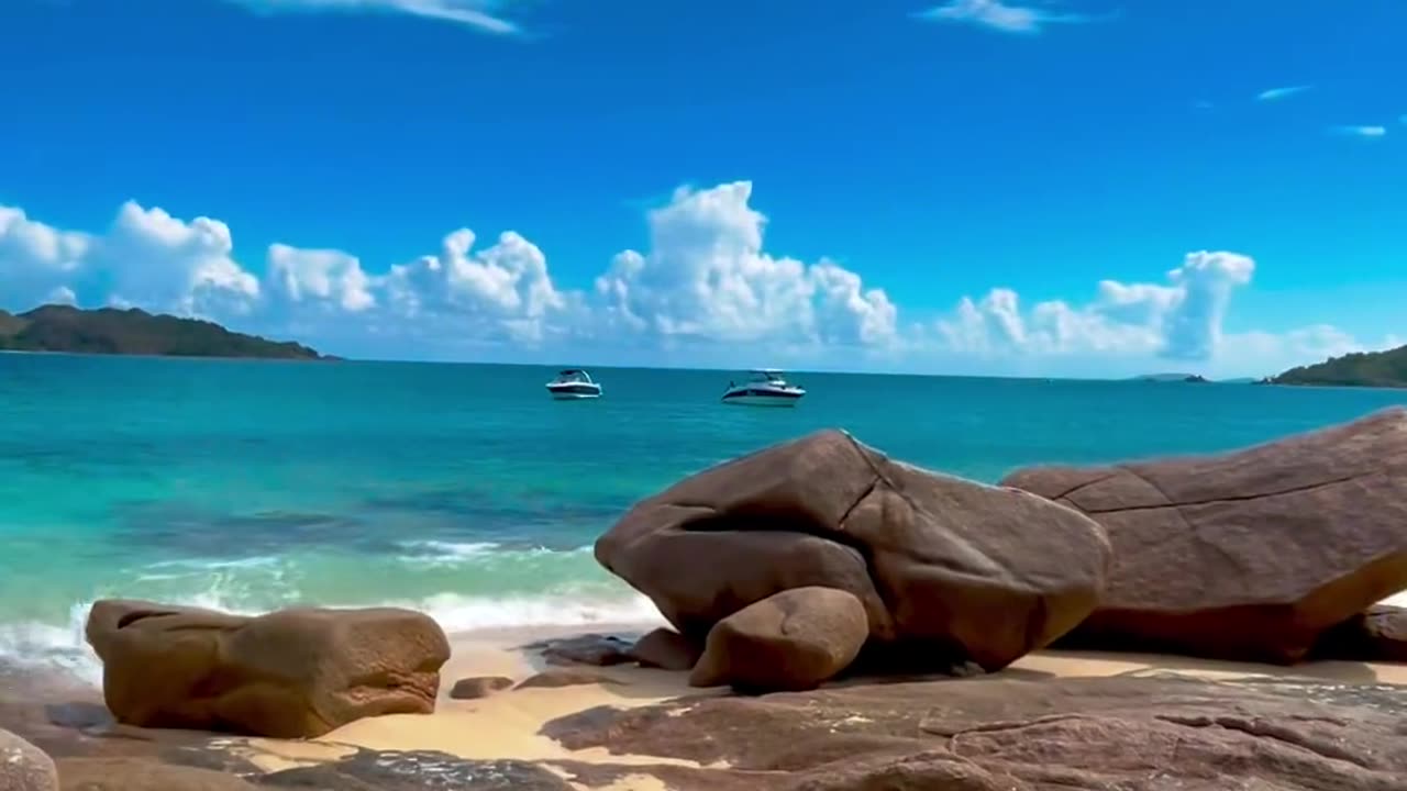 Amazing nature video