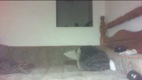 Orb capture