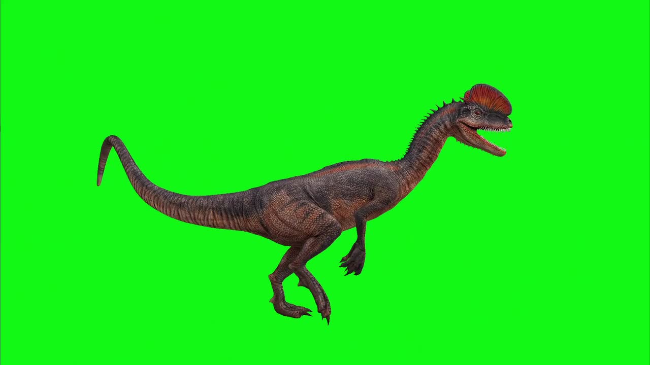 Dinosaur Animal Dilophosaurus Isolated 360°