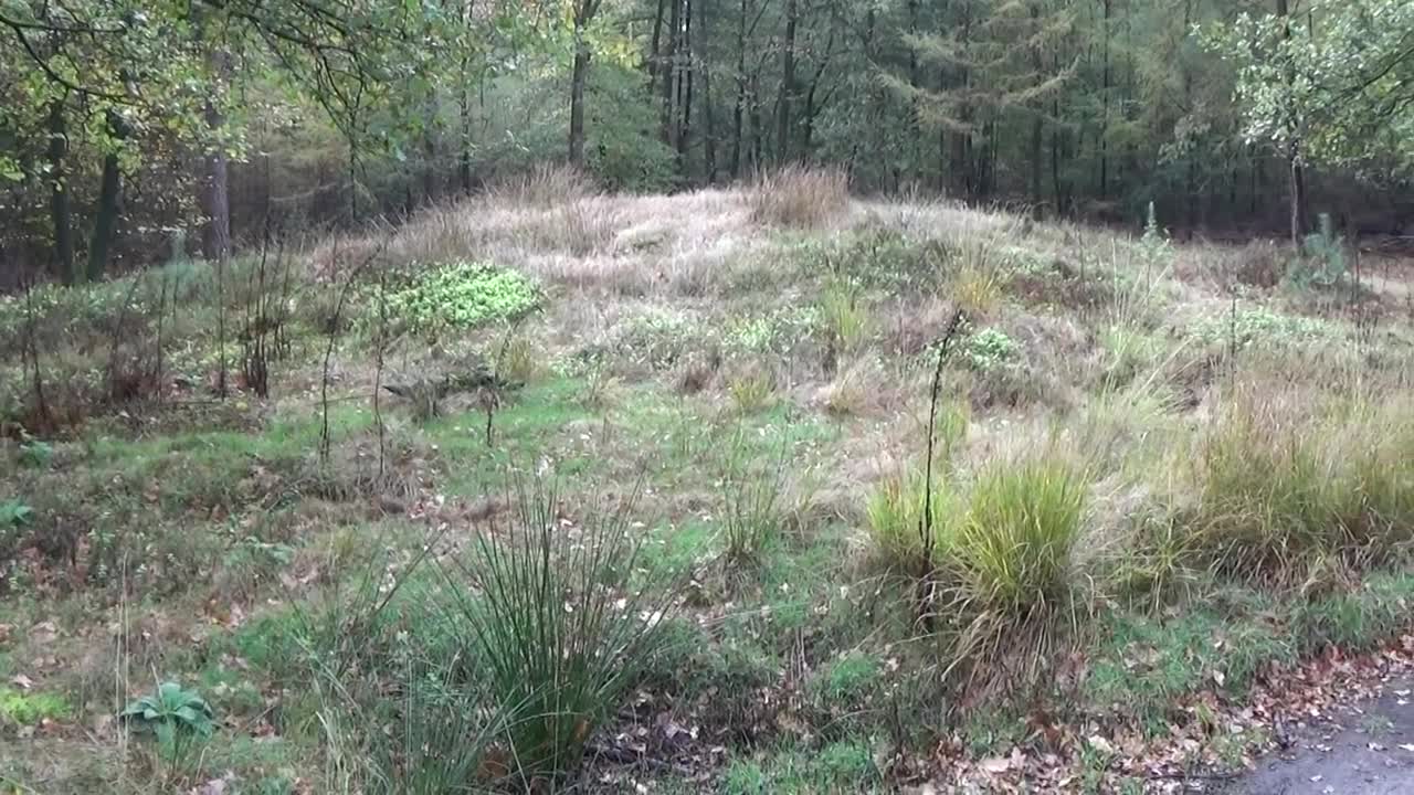 Grafheuvel G424 - Toverberg Ermelo (1)