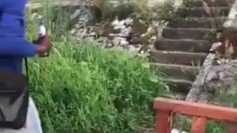 Task failed successfully