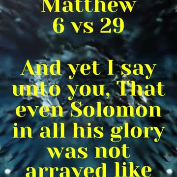 JESUS SAID... And yet I say unto you, That even Solomon in all his glory