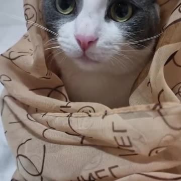 Hijabi Maya❤️☺️