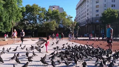 The children are playing
