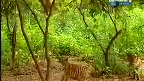 Funny video 😆😆