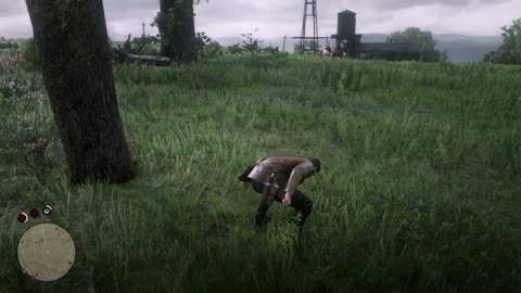 Red Dead Redemption2 Gameplay