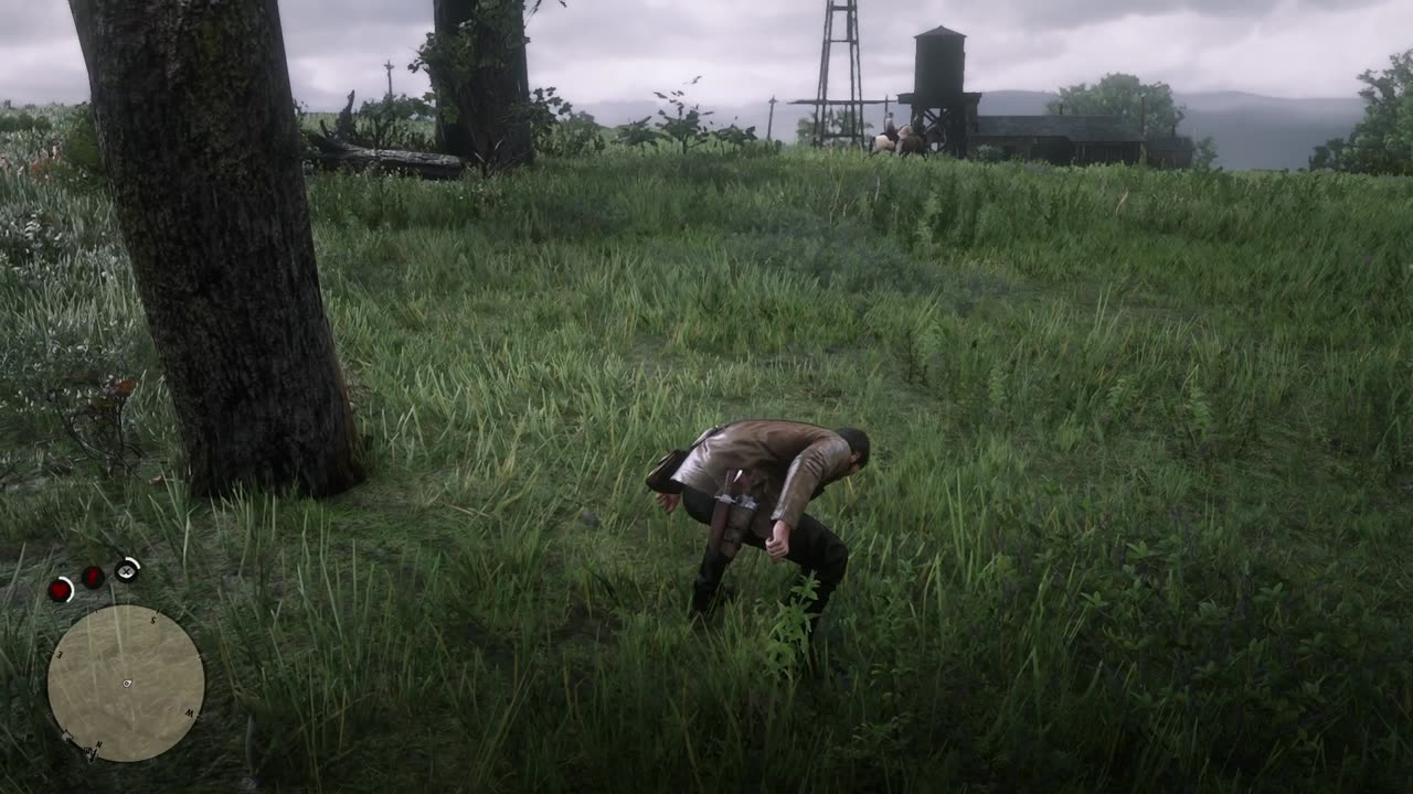 Red Dead Redemption2 Gameplay