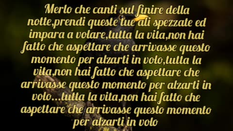 "Blackbird"-Beatles(1968)-traduzione in italiano