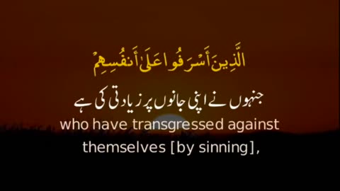 Surah Az Zumar _ Ayah 53 _ Quran Whatsapp Status With Urdu Translation