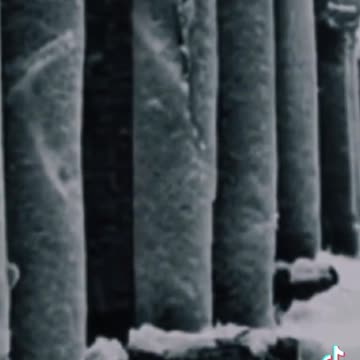 ANTARKTISZ - jégfal mögött