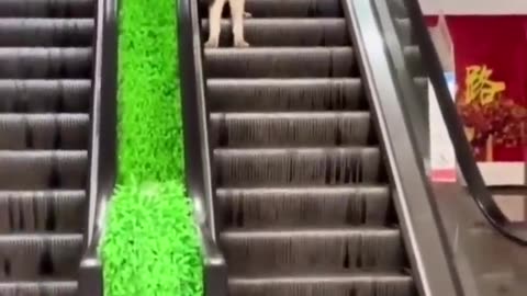 Funny🤣😝😝😜🤣 video🎥🎥🎥🤣🤣🤣🤣