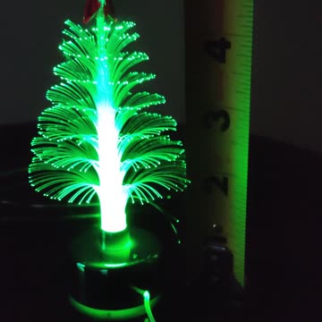 Christmas Tree, Dearborn, Michigan, 11/1/23