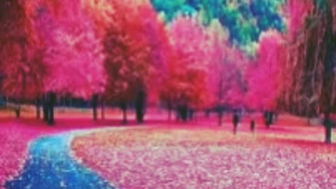 Nature beautiful view