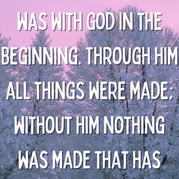 John 12:3 #shorts #bible #Verse #for #today