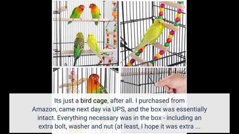 2 Color Large Roof Top Canary Parakeet-Overview