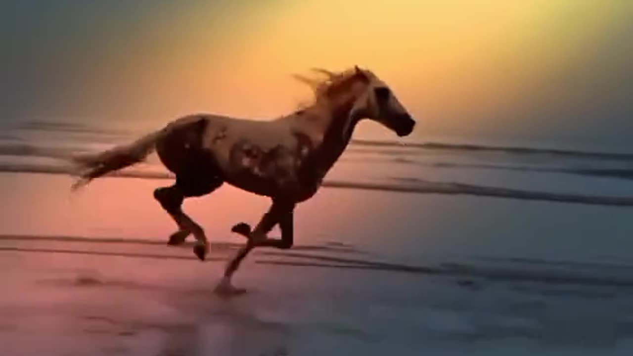 Horses