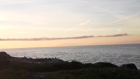 Surfing Santa Cruz weather or not. 02-09-2024