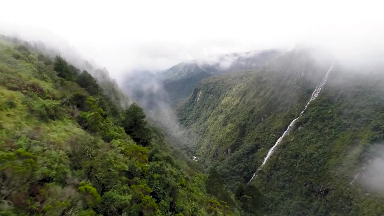 WILD IS LIFE The Most of Beautiful Nature Music by Daniel Deuschle..