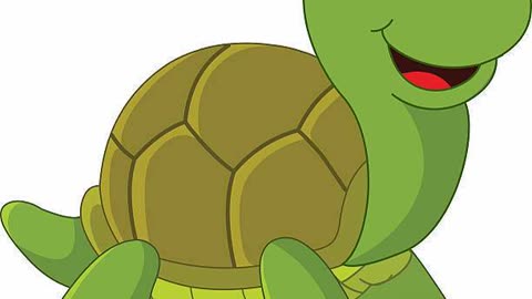 Turtle's diary