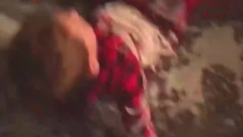 Funny Tiktoks, Try Not To Laugh! P1