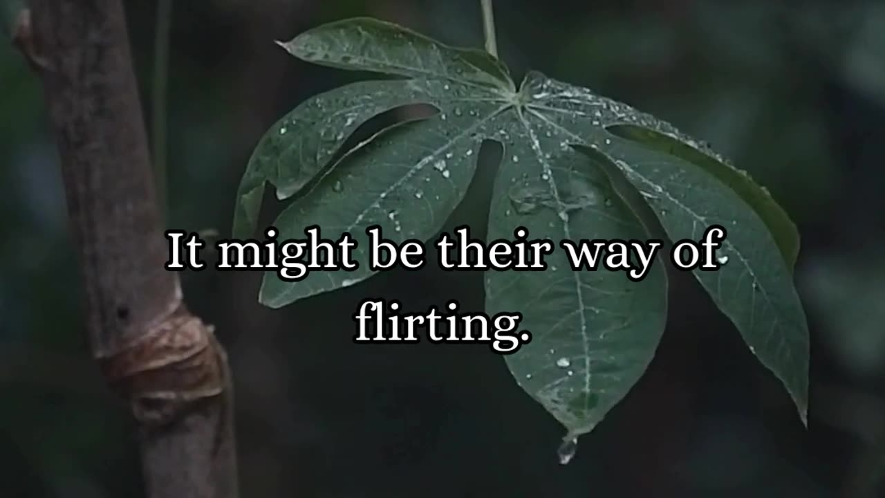 Have a good day☀️