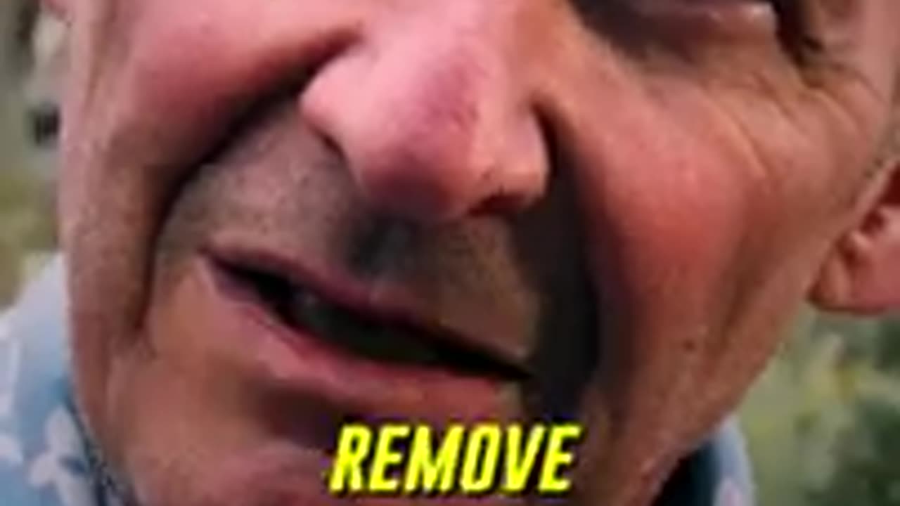How to have Discipline like a Mafia Boss