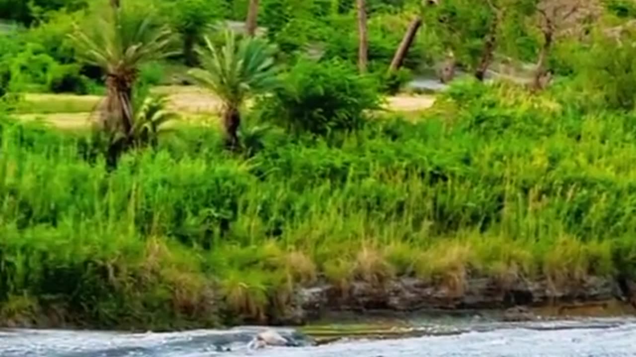 BEAUTIFUL SCENE 😍