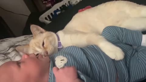 Cute baby playing with cat