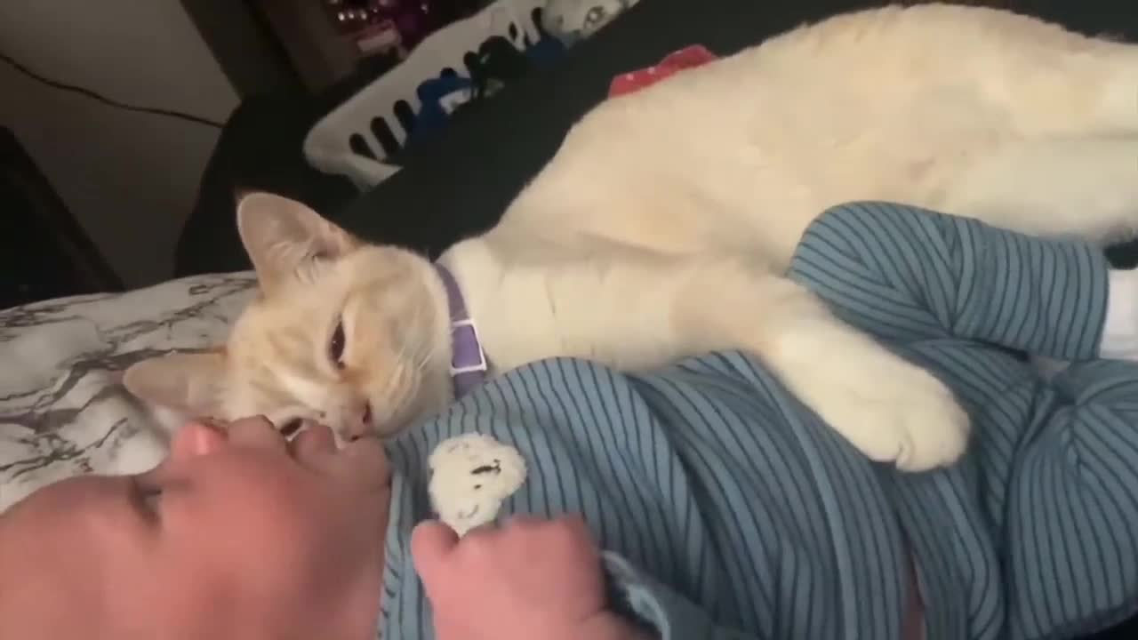 Cute baby playing with cat