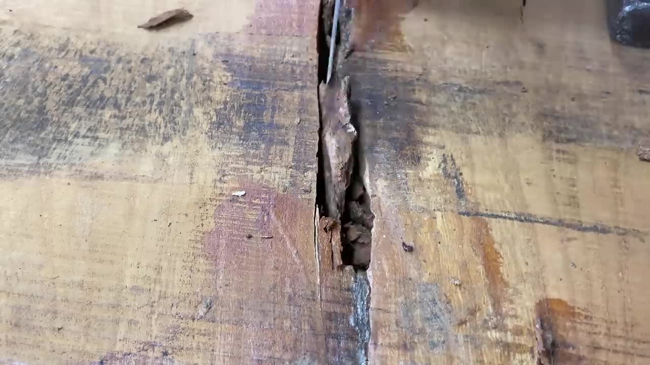 DIY table made of old logs.Zelkova is 407 years old.