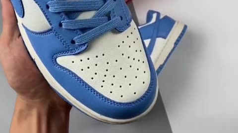 Unisex SB Dunk Low "Coast"