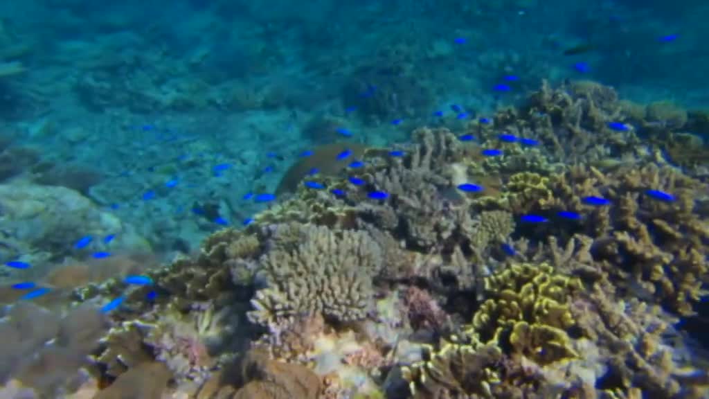 Reports shows Australia faces worsening weather events