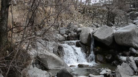 Nature