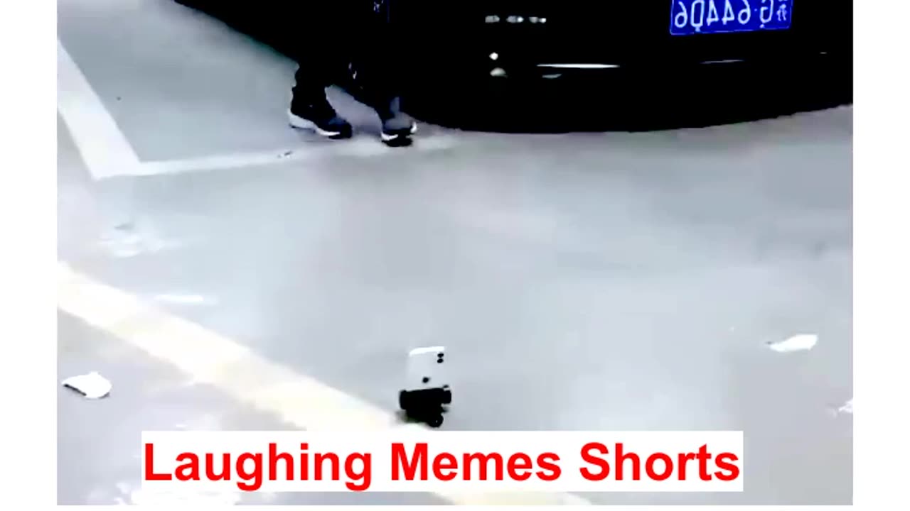 funny reaction videos memes video viral video
