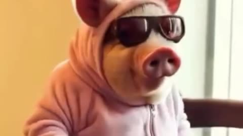 Funny😝 viral video😝😝
