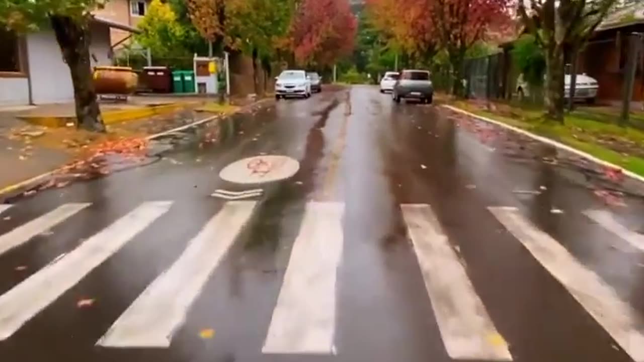 Biking in nature