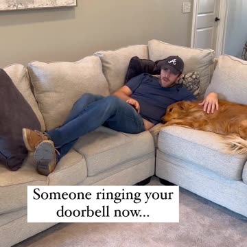 What kind of crazy person rings your doorbell in the middle of the day! #dog