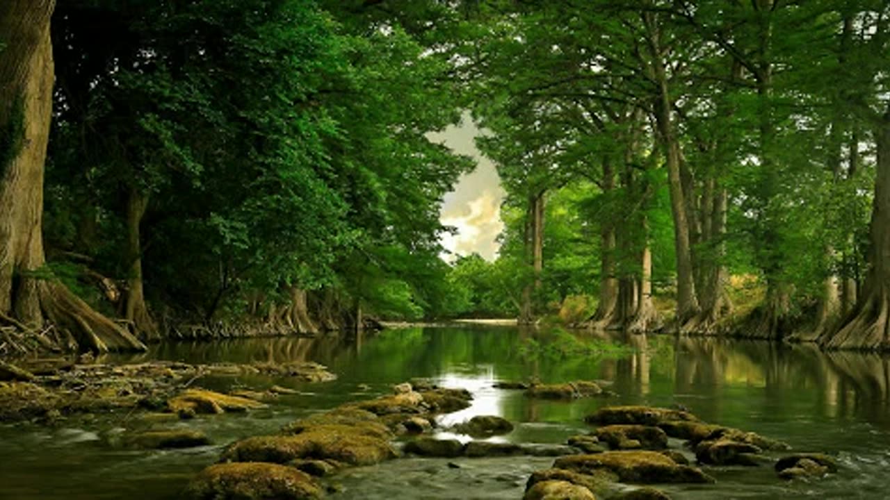 Soothing & Relaxing Short Video to help you Sleep and relieve your stress | Nature & Relax