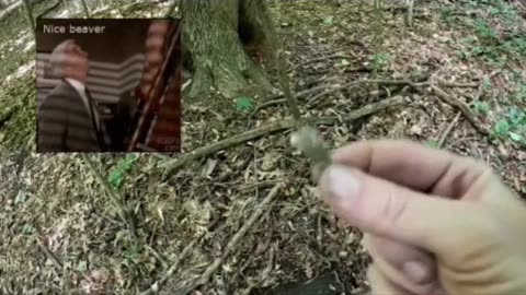 Teaser Shorts/Reel - Underground Metal Detecting in an old forest - Full Video on Profile