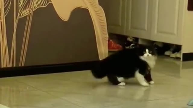 Iām a dancer šš