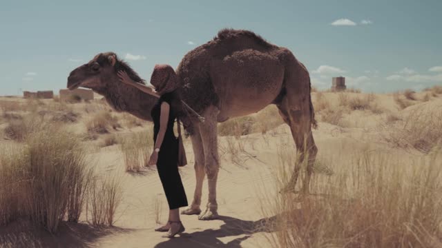 A women and a camel