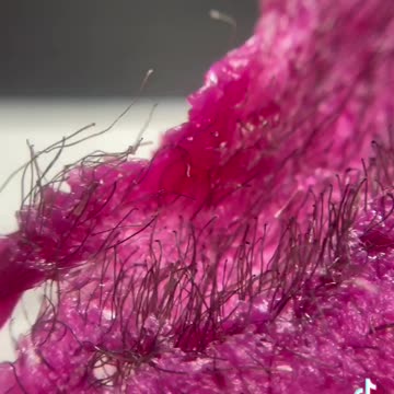 Unlocking the Secret: How Hair Bonds to Sexy Smooth Tickled Pink Hard Wax with Anabella Mercado