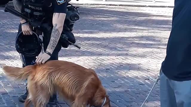 floyd protest cop
