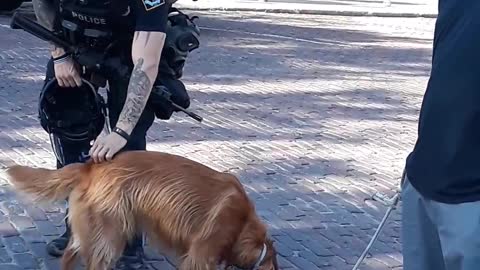 floyd protest cop